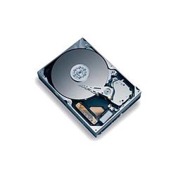Maxtor DiamondMax Plus 9 80GB HD
