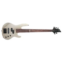 ESP Ltd B-55 Titanium 5-String E-Bass
