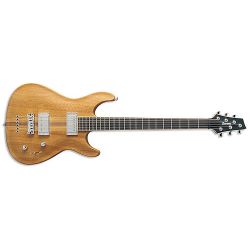 Ibanez MMM1 MOL Bariton E-Gitarre MIKE MUSHOK Signature