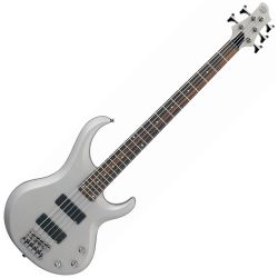 Ibanez BTB205 TYF Titanium Gray Flat E-Bass