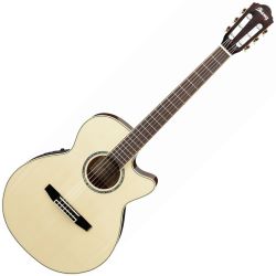 Ibanez AEG10NE-NT