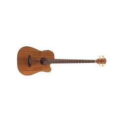 Fender Victor Bailey Acoustic Bass Natural DAO