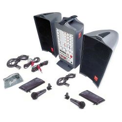 Fender Passport P 250