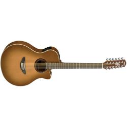 Yamaha APX5-12A SDB