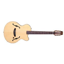 Yamaha AEX 500 N II F-Loecher NT