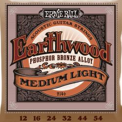 Ernie Ball Earthwood EB2146 Regular Slinky Acoustic Saiten 012-054