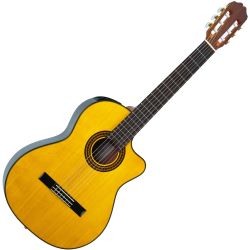 Takamine EG522SC