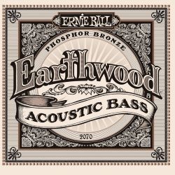 Ernie Ball EB2070 Earthwood Akustik Bass Saiten 045-095
