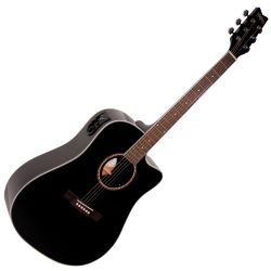 Washburn D10 CEB Black