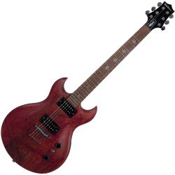 Washburn SI60-MW Scott Ian-Serie