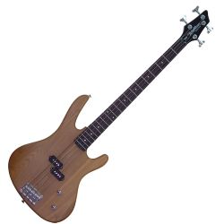 Washburn XB100-NM