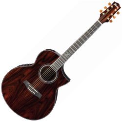 Ibanez EW50CBE-NT Akustik Gitarre Exotic Cocobolo Westerngitarre