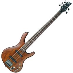 Ibanez EDB 555 WNF E-Bass