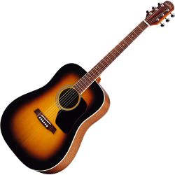 Walden Standard D350 SN