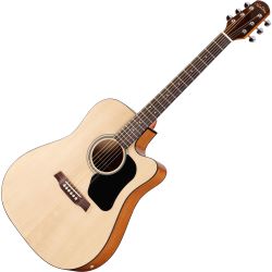 Walden Standard D350 CE