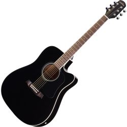 Walden Standard D350 CEB