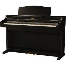 Kawai CA-51 E AWA Grand Pro II schwarz poliert