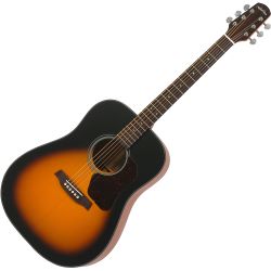 Walden Natura D550 TB Westerngitarre incl. Gigbag