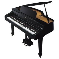 Roland RG-3M-PE