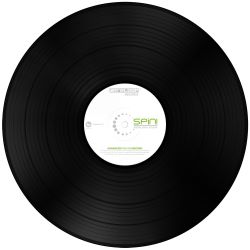 Reloop Spin Timecode Vinyl schwarz