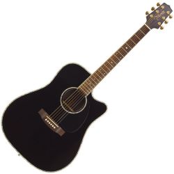 Takamine EG361SC