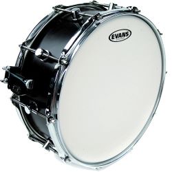 Evans 14" Genera HD