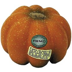 Remo Vegetable Shaker Brauner Kürbis