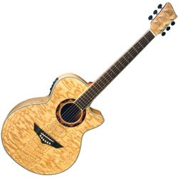 VGS Passat Series Folk V-2 A CE Natural Gloss