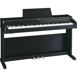 Roland RP-201 SB