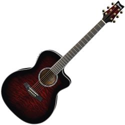 Ibanez A300E TCS 216598 Westerngitarre