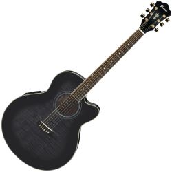 Ibanez AEL20E TKS B-Ware Westerngitarre