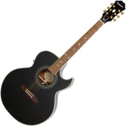 Epiphone PR-5e EB