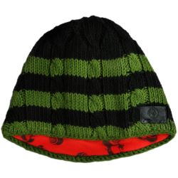 Aerial7 Sound Disk Beanie Schwarz/Grün