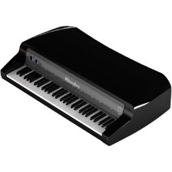 Rhodes Mark 7 Piano 73 Active Black Glossy