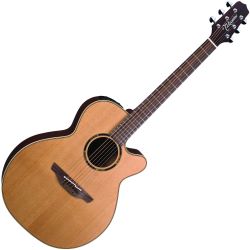 Takamine ETN-40-C NS