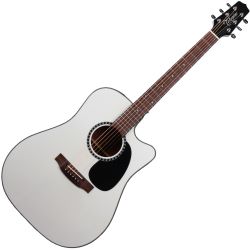 Takamine EF300 SE BW