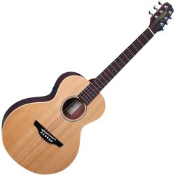 Takamine Takamini EG Mini NS