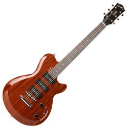Godin Icon Type 3 Natural HG inkl Bag