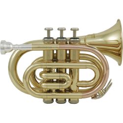 Roy Benson PT-101 Bb-Taschen-Trompete Student