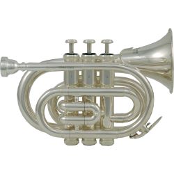 Roy Benson PT-101S Bb-Taschen-Trompete versilbert