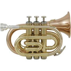 Roy Benson PT-101G Bb-Taschen-Trompete Klarlack