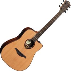 LAG T400 DCE Dreadnought Cutaway