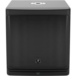 Mackie DLM 12S
