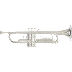 Roy Benson TR-202S Bb-Trompete versilbert