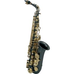 Roy Benson AS-202K Eb-Alt-Saxophon Anthrazit