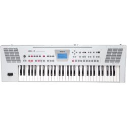 Roland BK-3-WH Backing Keyboard weiß
