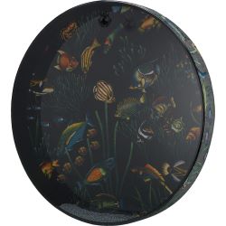 Remo Ocean Drum 22x2,5 Zoll Fisch Grafik