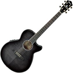 Ibanez AEG24II-TGB Westerngitarre
