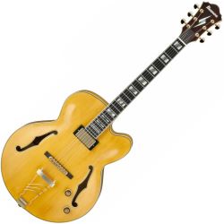 Ibanez PM2-AA Pat Metheny Signature E-Gitarre inkl. Koffer