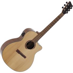 Western Guitars with Pickup